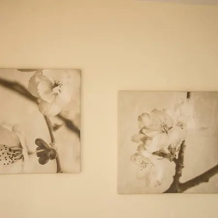 Elysium - Majken Olympiakí Aktí