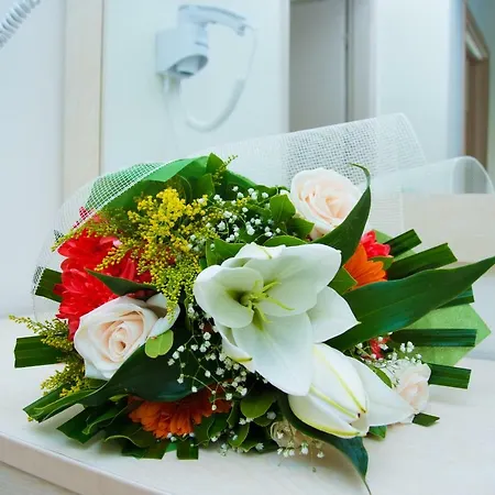 Elysium - Majken * Olympiakí Aktí