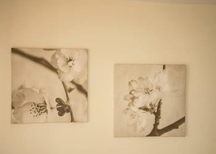 Elysium - Majken Olympiaki Akti